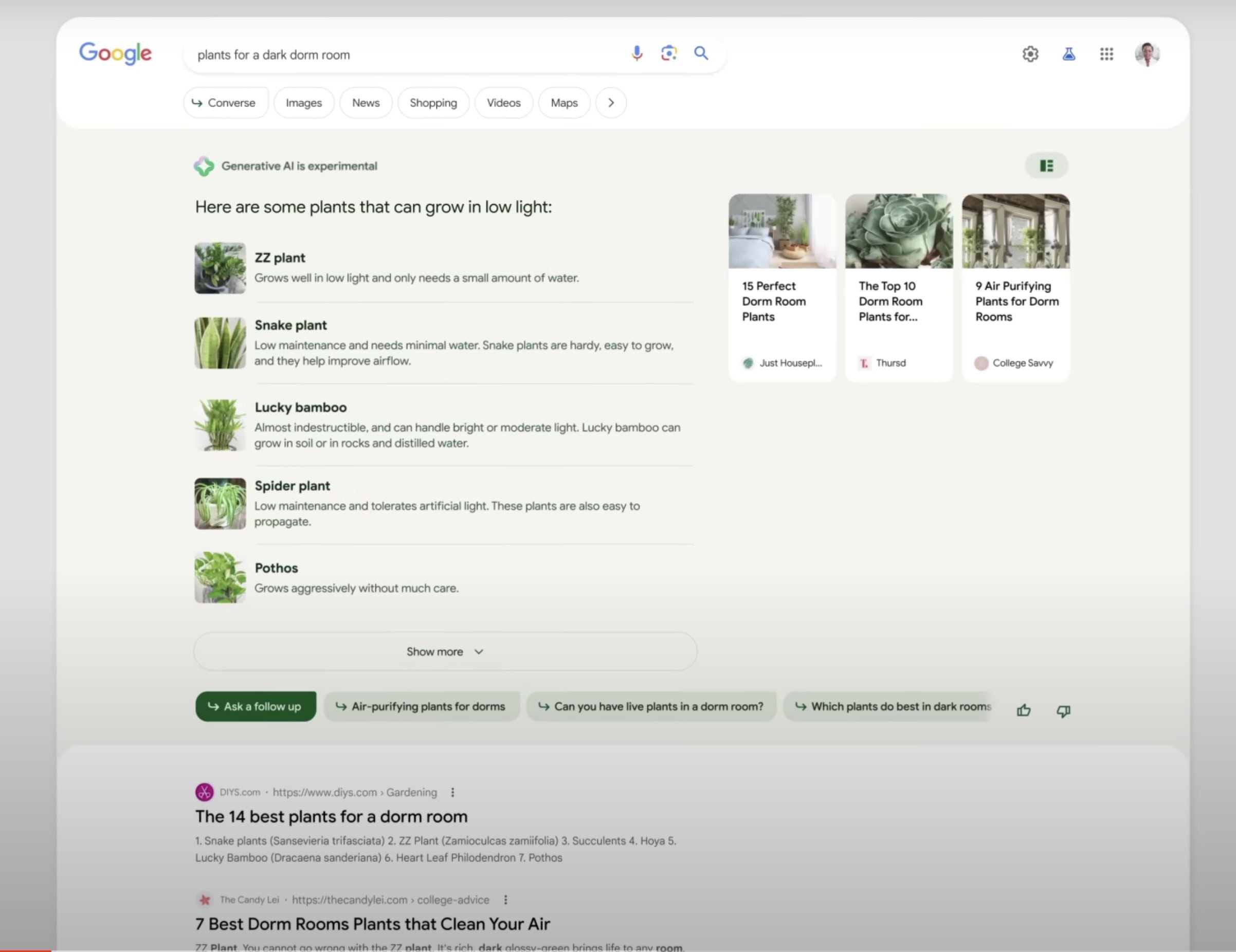 Google SGE Experience